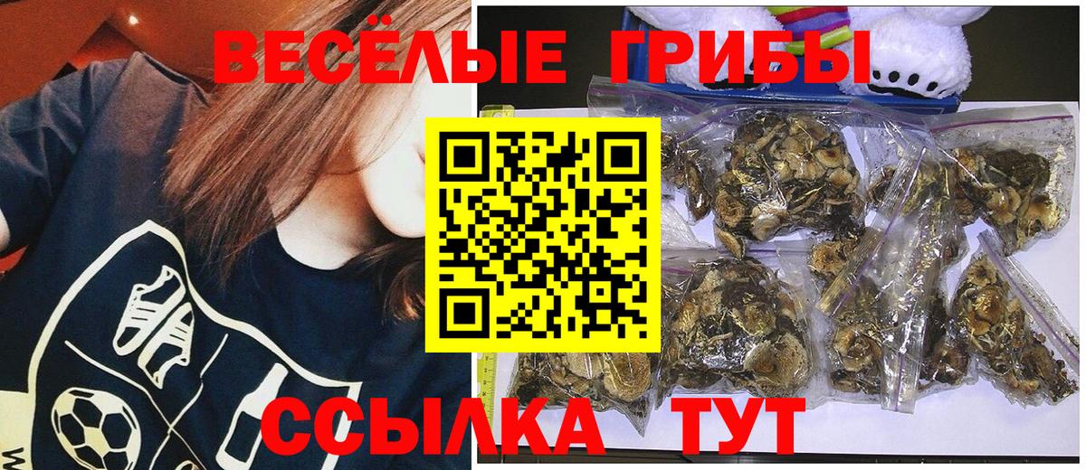 Отрадное  Псилоцибиновые грибы Psilocybe  где найти   Вход с VPN 