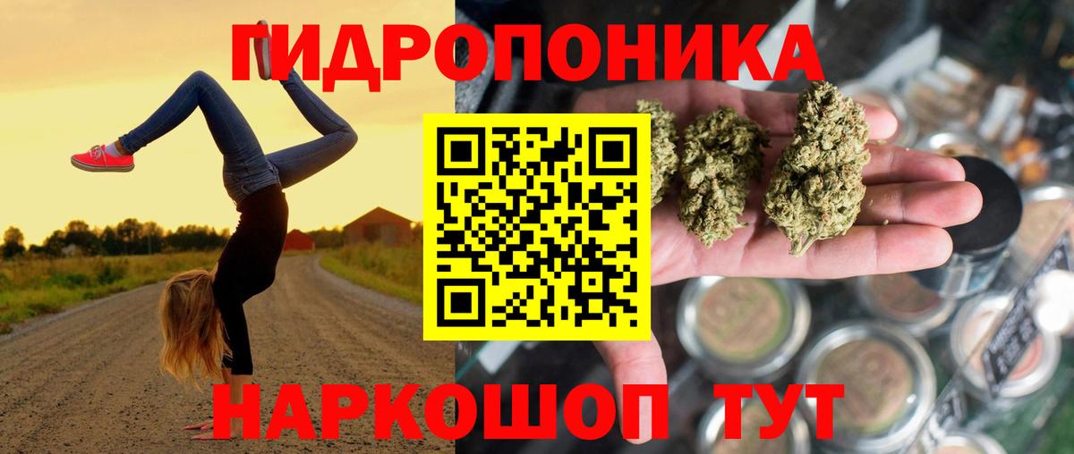 Бошки марихуана White Widow Отрадное